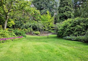 Optimiser l'expérience du jardin à Villefranche-de-Rouergue